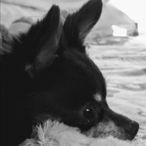 Meet your Posher, Kandi